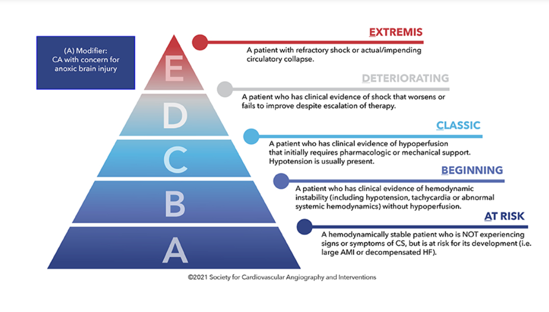 cardiac monitoring pharmacological interventions